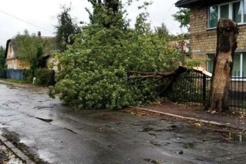 Ураган обрушился на Киев, кадры бедствия: "повалены деревья и..."