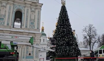 елка в Киеве: обсуждение