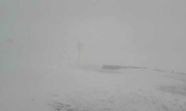 снег в карпатах