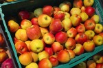 Подорожание продуктов в Харьковской области