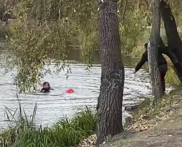 Дівчинка впала в озеро в Києві, поліцейські кинулися на допомогу: відео з місця