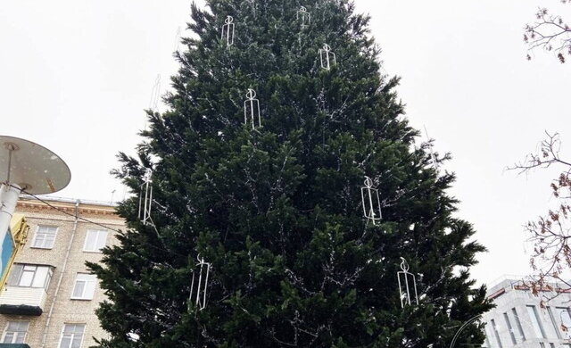 Дніпровська ялинка виявилася найдорожчою в Україні: скільки грошей витратили