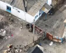 "Друга армія світу" вкрала гусака в окупованому українському селі: ганьба потрапила на відео