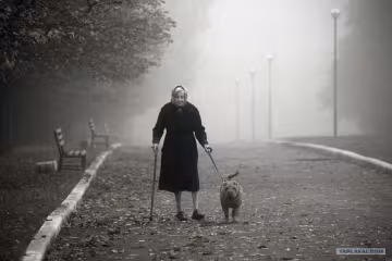 У Запоріжжі бабуся вночі винесла з дому всі гроші