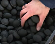 Воровство у детей: под Одессой недосчитались 140 тонн угля, виновным оказался завхоз