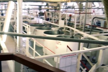 Работу крупного хлебзавода остановили на Днепропетровщине: на предприятии заговорили о цене