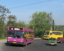 В Одессе запускают дополнительный транспорт: как и куда он будет ходить