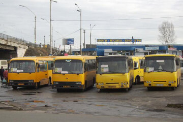 Київські маршрутки перевірять на легальність