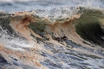 экологическая катастрофа