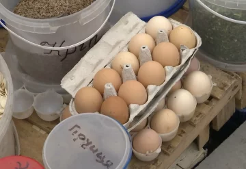 Подорожчання яєць перед Великоднем в Дніпропетровській області