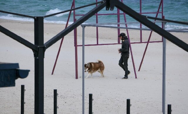 Как выглядят популярные пляжи Одессы во время карантина, фото: "гуляют не только собаки"