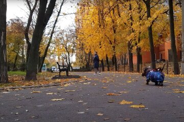 Прогноз погоди на тиждень з 6 по 12 жовтня у Харкові