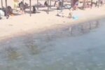 "Мамочки, что творится": море на украинском курорте превратилось в кисель из медуз, кадры