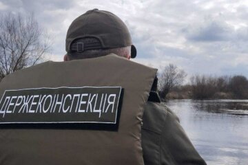 Держекоінспекція