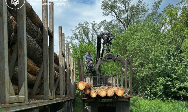 Держекоінспекція спіймала «чорних лісорубів»