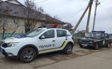 полиция, Одесская область