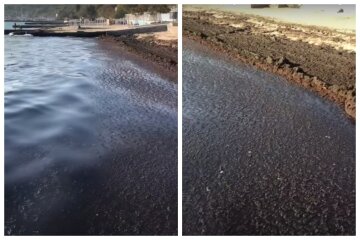 Море в Одессе превратилось в сполошную грязь: "Вперемешку с нефтепродуктами"