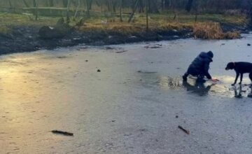 Рискнул жизнью ради собаки: на одесском пруду мужчина провалился под лед, кадры