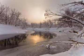 февраль