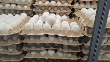 Подорожчання продуктів