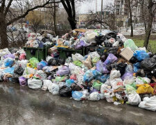 Горы мусора наводнили Днепр: власти нашли оправдание