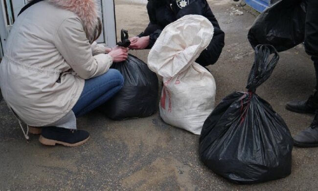 "Завязали в пакет": в Одессе на помойке нашли девять щенков, фото