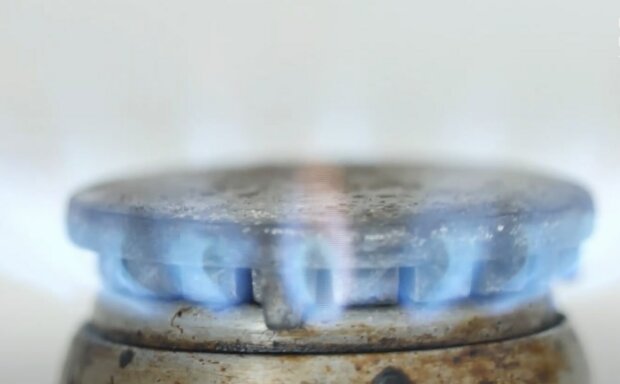 ����: politeka.net