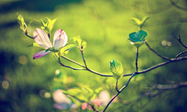 погода в Украине