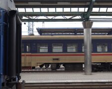 Новый график движения поездов в Киевской области