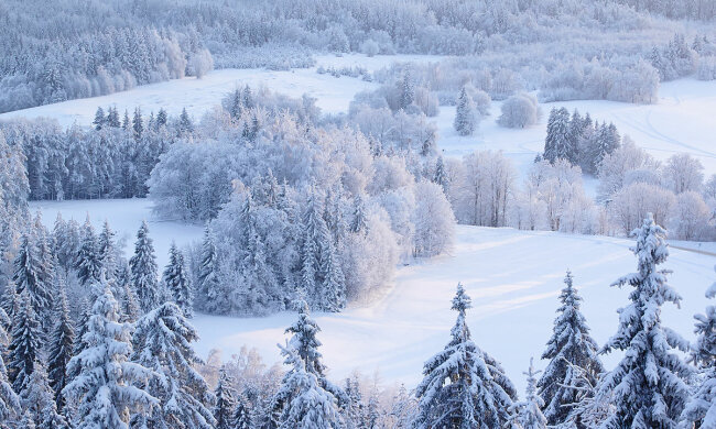 зима мороз снег