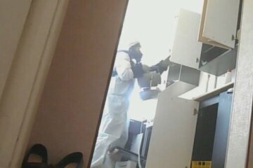 Живут в квартирах и кусают детей: днепряне жалуются на нашествие блох и тараканов, кадры