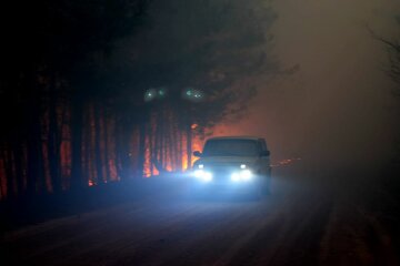 пожар житомирская область