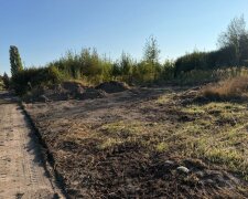 Довга боротьба екологів: у Житомирі нарешті прибрали стихійне звалище на вулиці Авіаторів