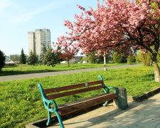 весна парк город ужгород