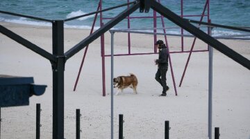 Як виглядають популярні пляжі Одеси під час карантину, фото: "гуляють не тільки собаки"