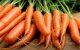 морковь, огород