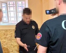 Одеський депутат із дружиною завдали збитків на десятки мільйонів: що відомо про злочин