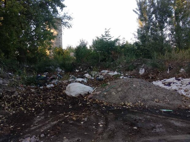Под Днепром тонны овощей валяются под открытым небом, фото: "вместо того, чтобы дать нуждающимся..."