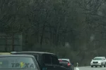 Под Харьковом возникла пробка из-за необычного "ЧП", кадры: "решил прогуляться по дороге"