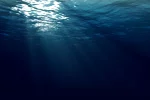 Величезний монстр атакував людину в море: відео, від якого волосся стає дибки