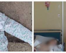 Собаки напали на мать и ребенка из-за невнимательности хозяина, кадры: "забыл закрыть дверь питомника"