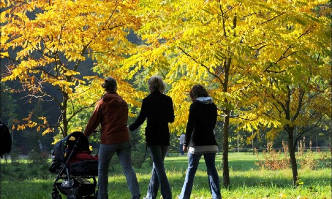 погода, осень, парк