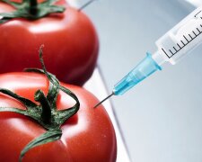 У Німеччині схвалили заборону вирощування ГМО-рослин