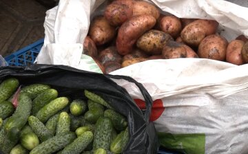 картофель, огурцы, овощи