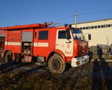 Пожежа під Києвом: евакуюють понад півсотні людей – фото