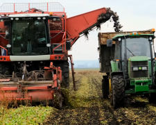 агросектор, агрономи