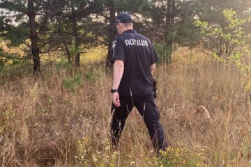 поиск, пропал без вести