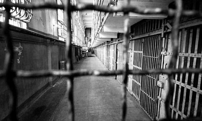 1459055959_d23f280ffd2608eb1dd978a8a9df6749_xl