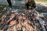 На Полтавщині Держекоінспекція викрила браконьєра з уловом на 374 тисячі гривень