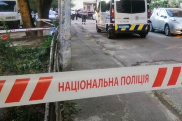 вбивство Ірини Фаріон
